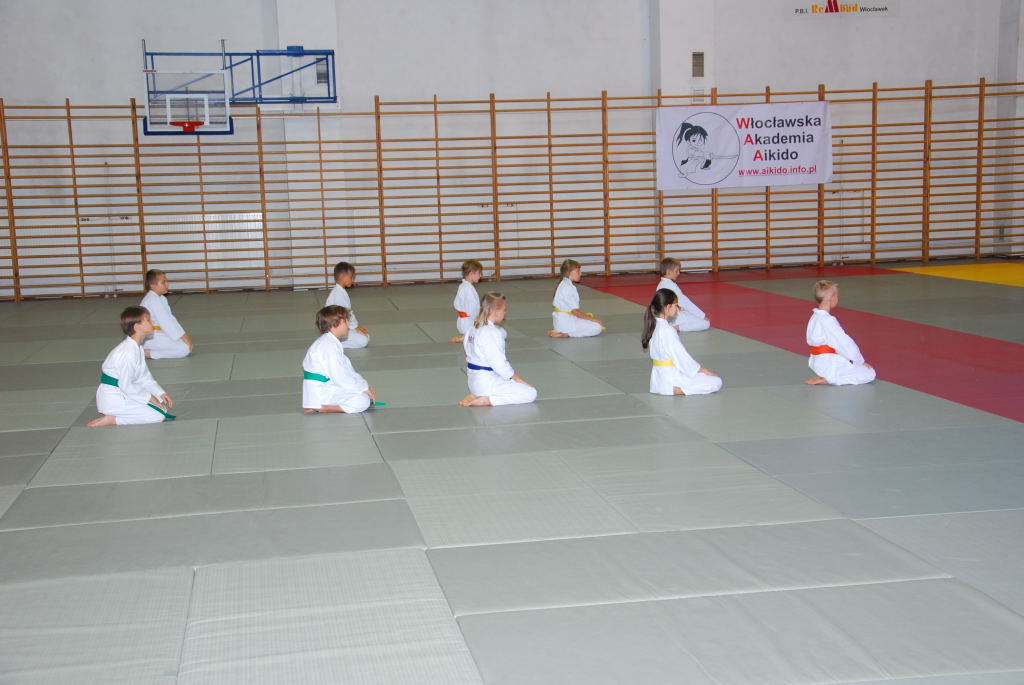 35-lecie Włocławskiej Akademii Aikido Pokazy