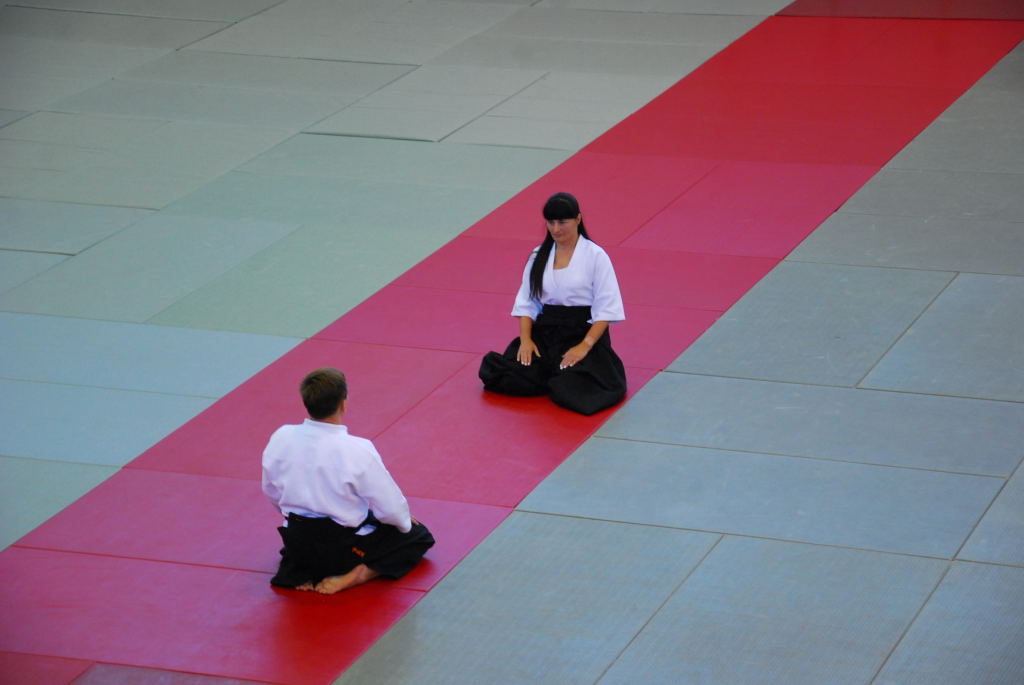 35-lecie Włocławskiej Akademii Aikido Pokazy