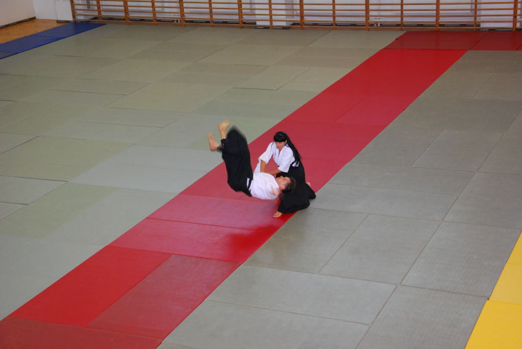 35-lecie Włocławskiej Akademii Aikido Pokazy