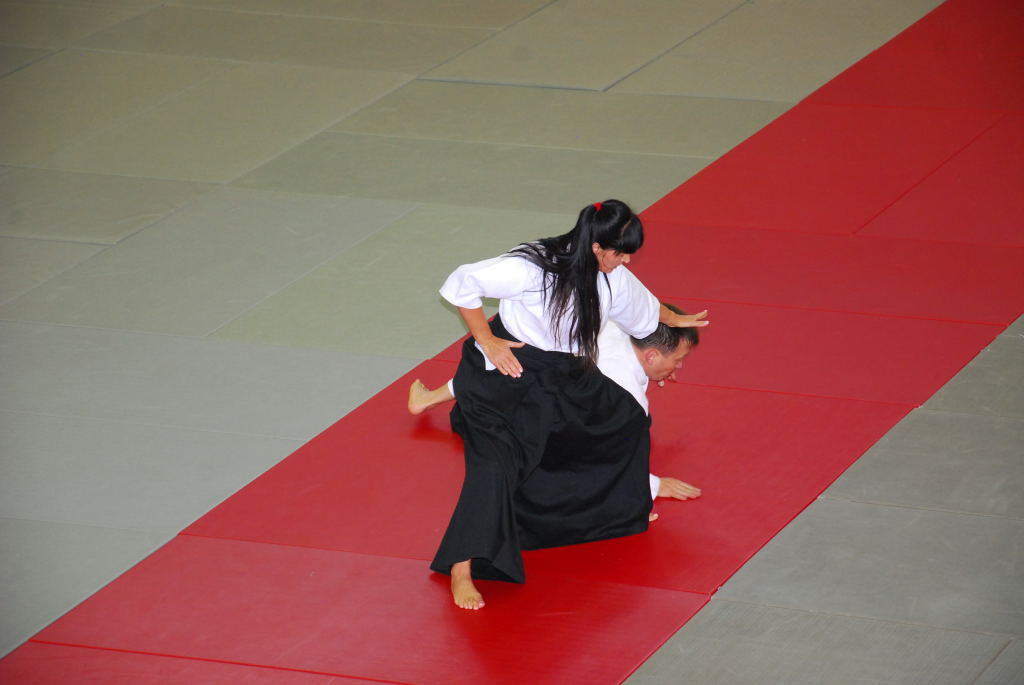 35-lecie Włocławskiej Akademii Aikido Pokazy