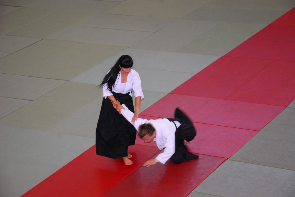 35-lecie Włocławskiej Akademii Aikido Pokazy